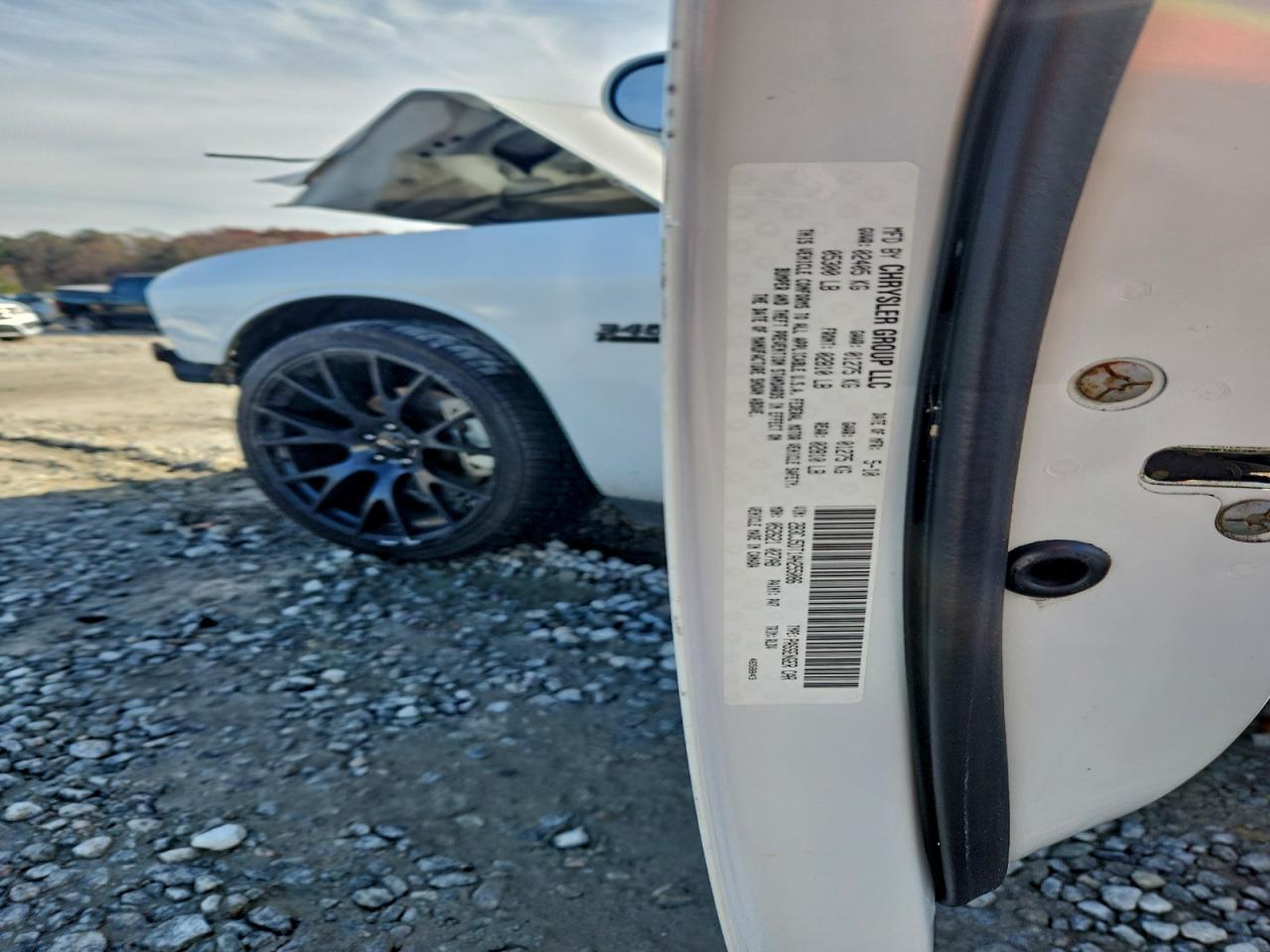 2010 Dodge Challenger R/T VIN: 2B3CJ5DT1AH255086 Lot: 94552925