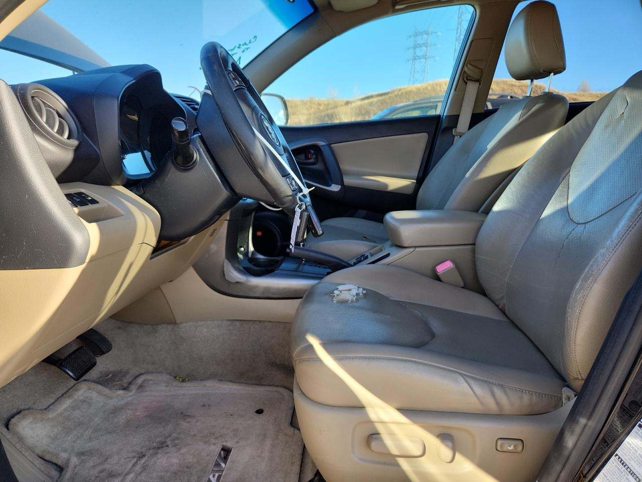 2009 Toyota Rav4 Limited VIN: JTMBK31V895083031 Lot: 93292655