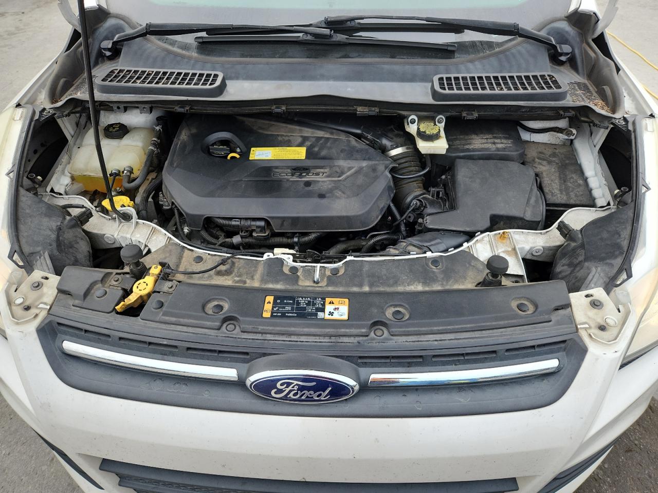 2014 Ford Escape Se VIN: 1FMCU0GX4EUB33554 Lot: 92327635