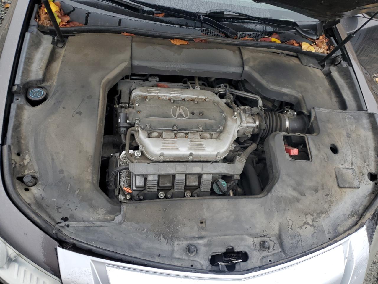 2011 Acura Tl VIN: 19UUA8F51BA005643 Lot: 91296745