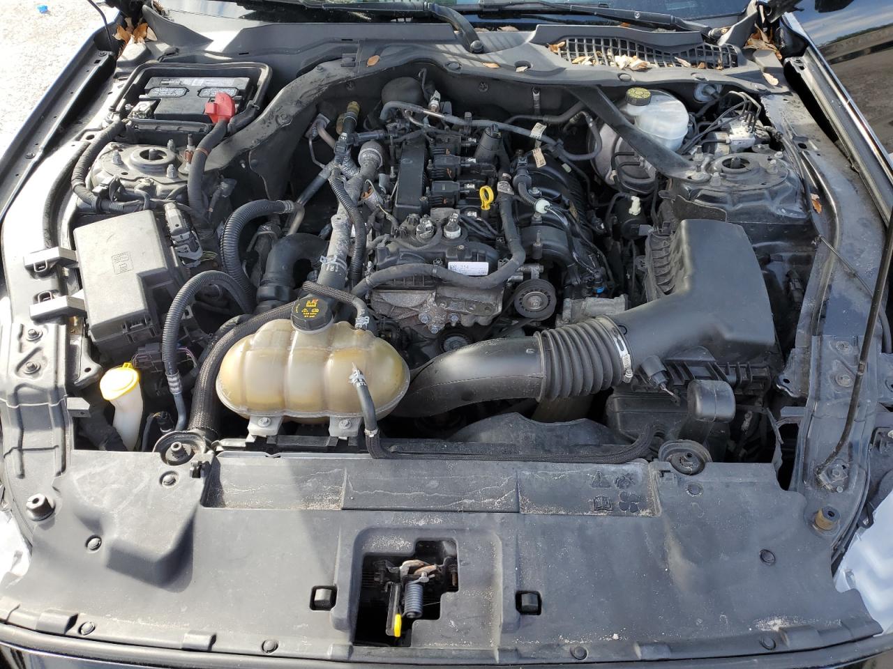 2019 Ford Mustang VIN: 1FATP8UH6K5109534 Lot: 91712615