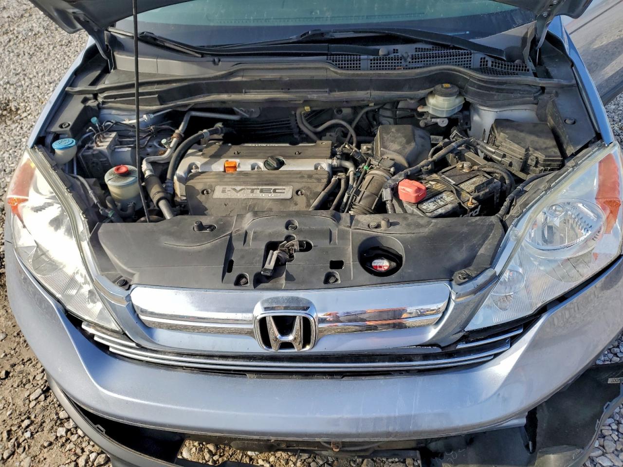 2009 Honda Cr-V Ex VIN: 5J6RE48589L059691 Lot: 93715705