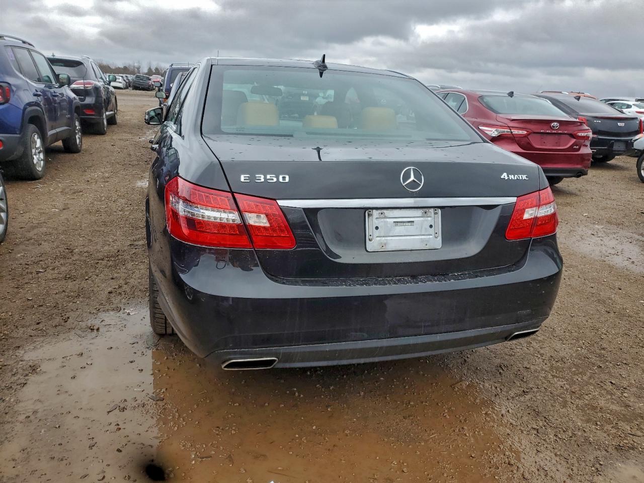 2010 Mercedes-Benz E 350 4Matic VIN: WDDHF8HB8AA073088 Lot: 93622745