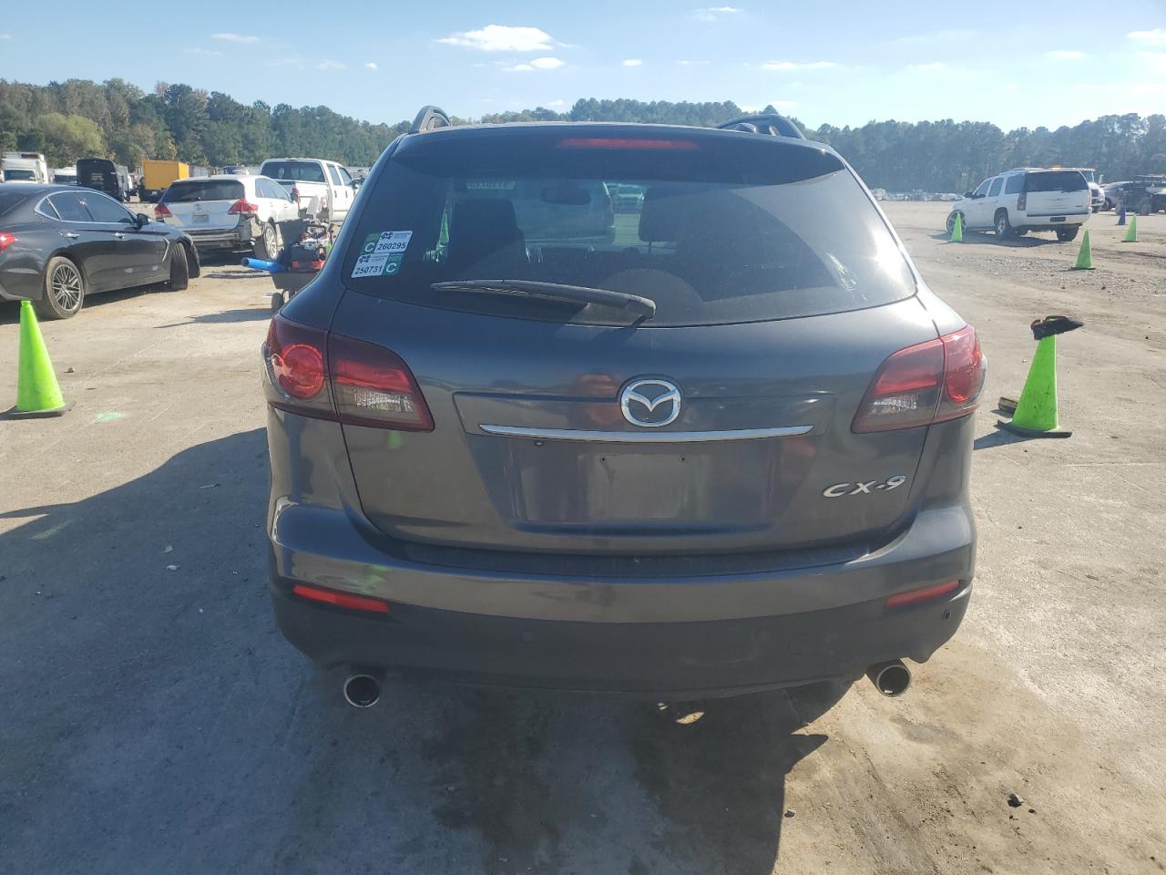 2013 Mazda Cx-9 Grand Touring VIN: JM3TB2DA6D0401779 Lot: 91157735