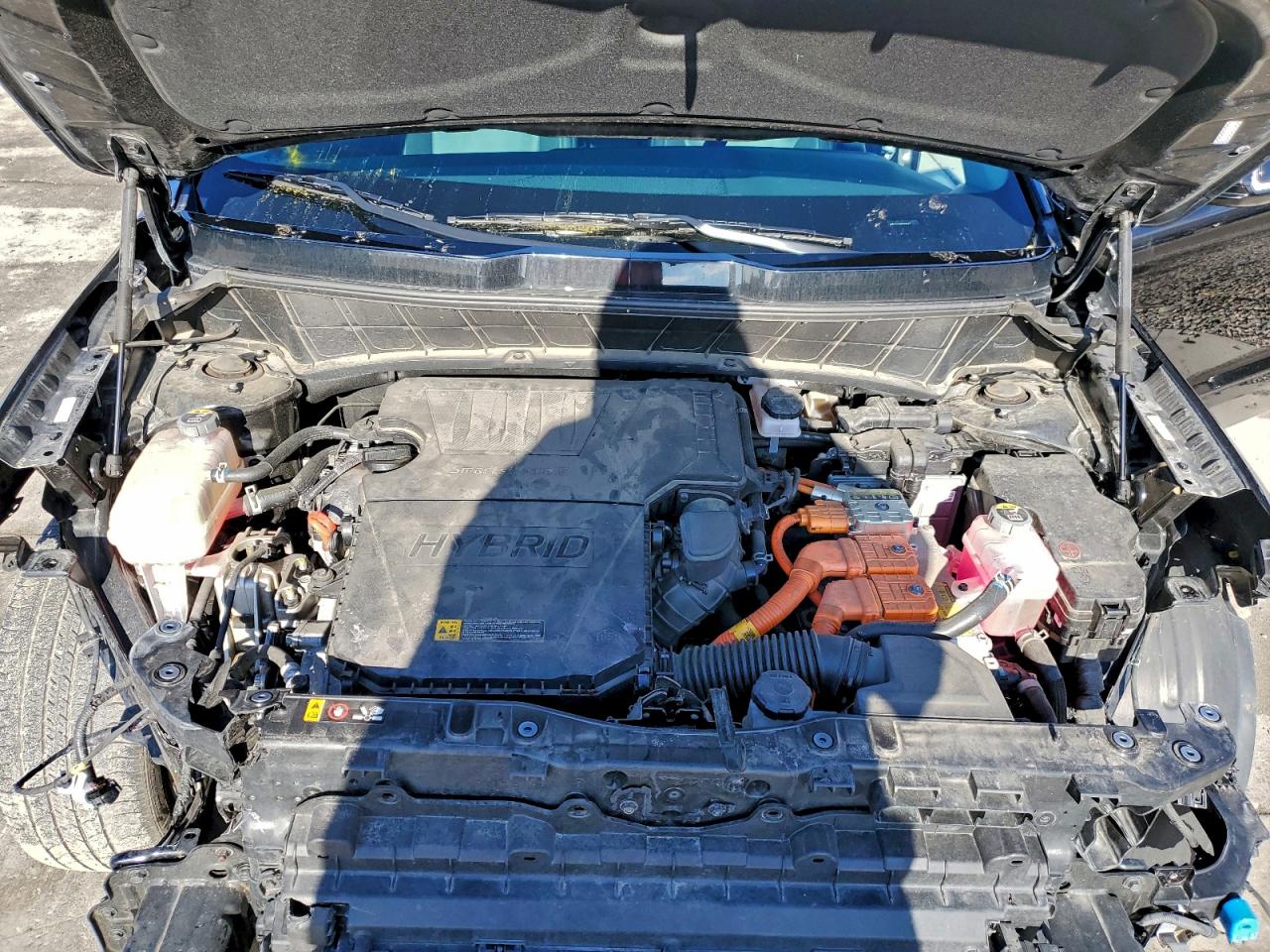 2023 Kia Niro Sx VIN: KNDCT3LE9P5055847 Lot: 94129825