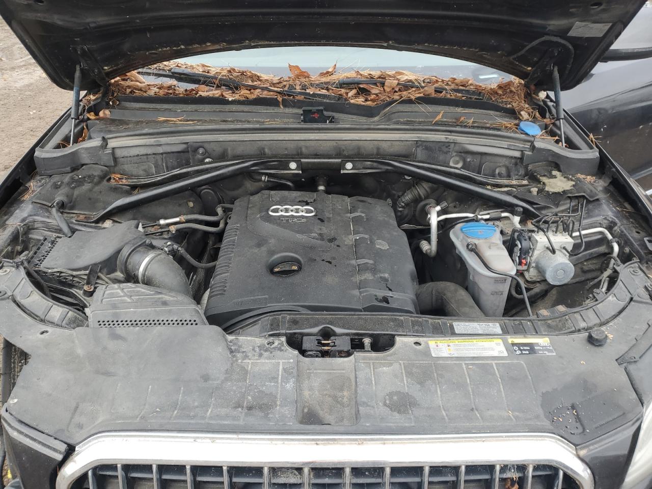 2014 Audi Q5 Premium Plus VIN: WA1LFAFP7EA010090 Lot: 92225835