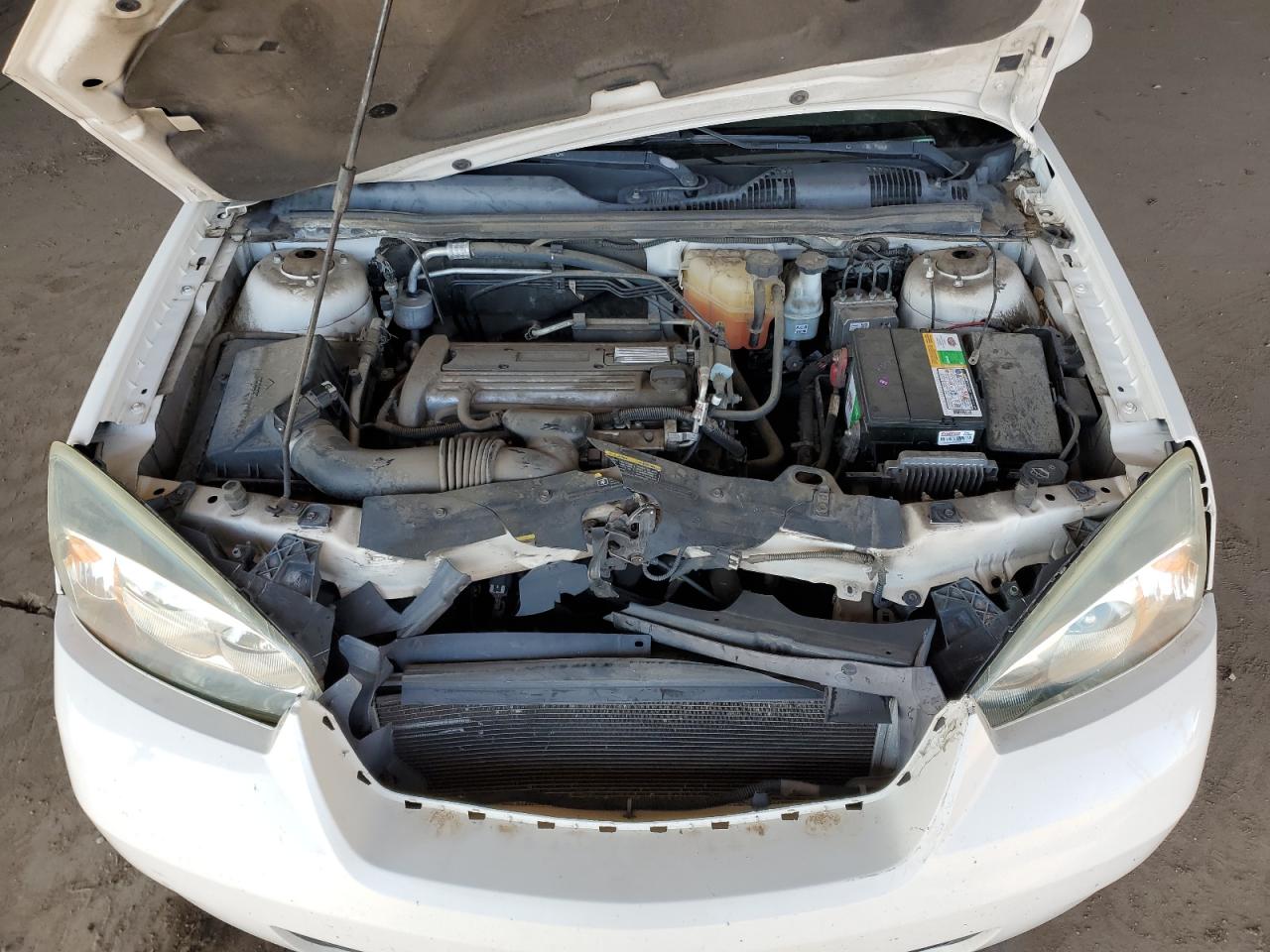 2006 Chevrolet Malibu Lt VIN: 1G1ZT53F56F191778 Lot: 92659995