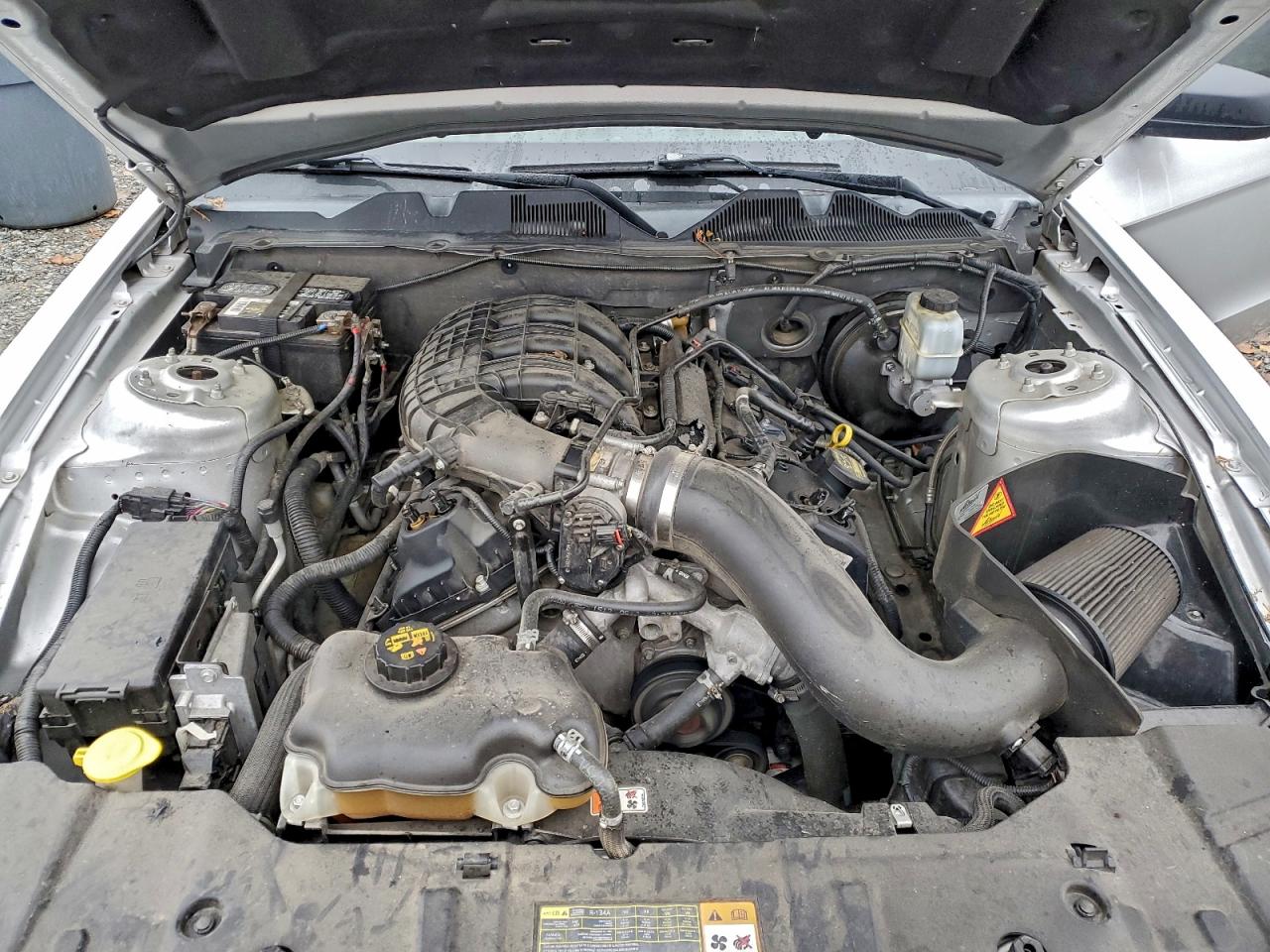 2013 Ford Mustang VIN: 1ZVBP8AM5D5236315 Lot: 92731705