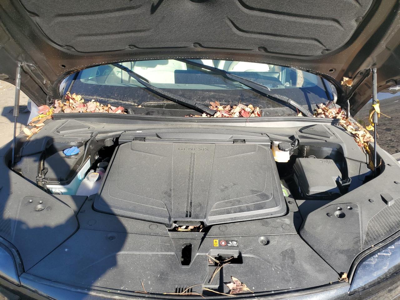 2024 Genesis Gv60 Advanced VIN: KMUKCDSC6RU021288 Lot: 92180335