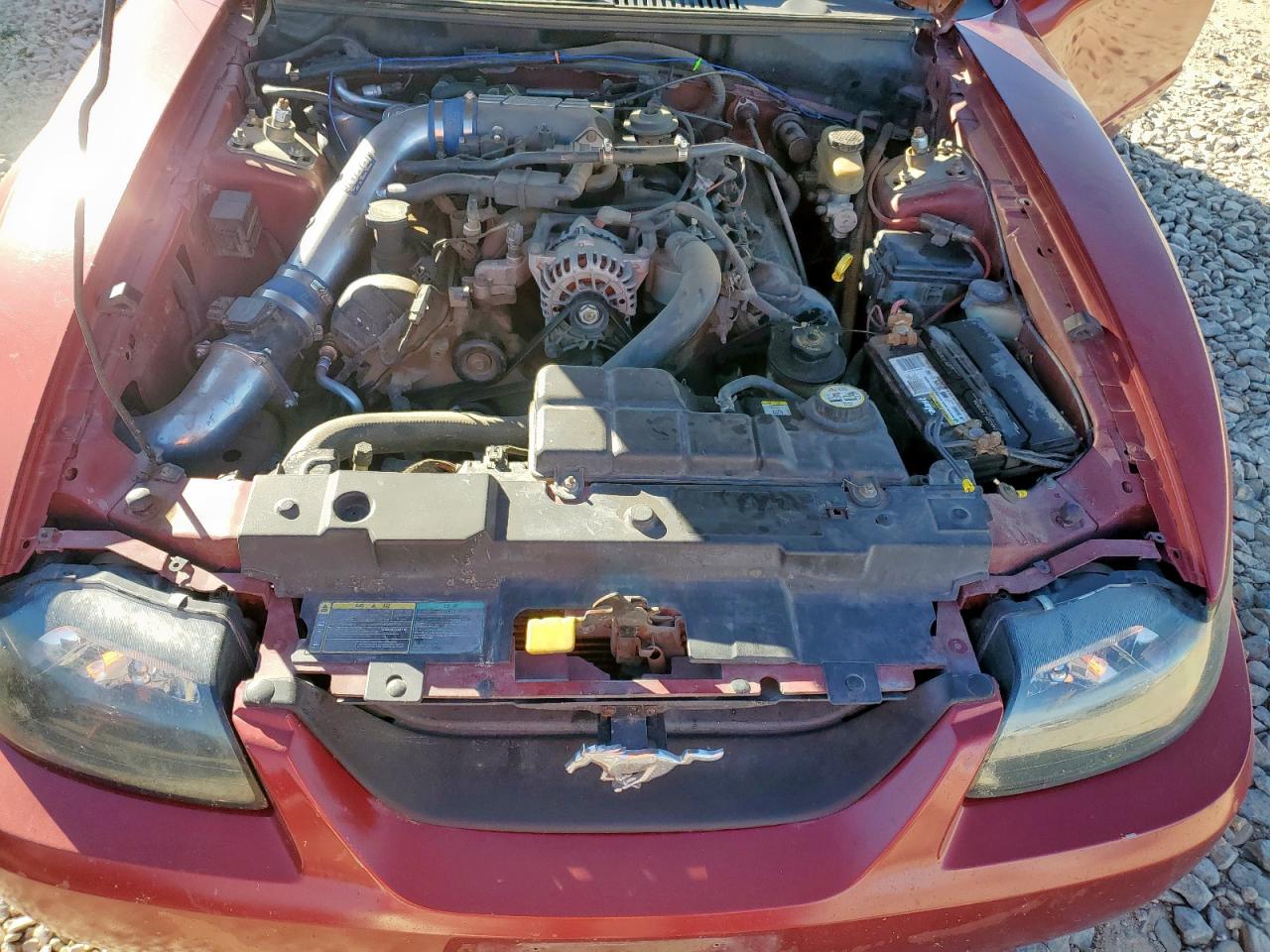 2003 Ford Mustang Gt VIN: 1FAFP42X83F312727 Lot: 92679815