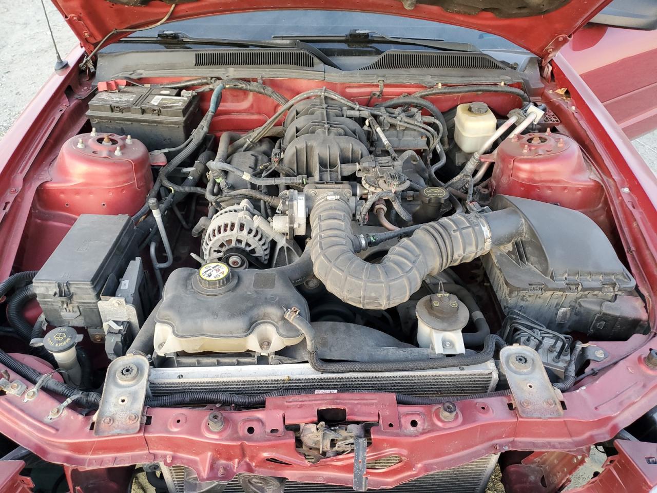 2008 Ford Mustang VIN: 1ZVHT80N385175245 Lot: 92165655