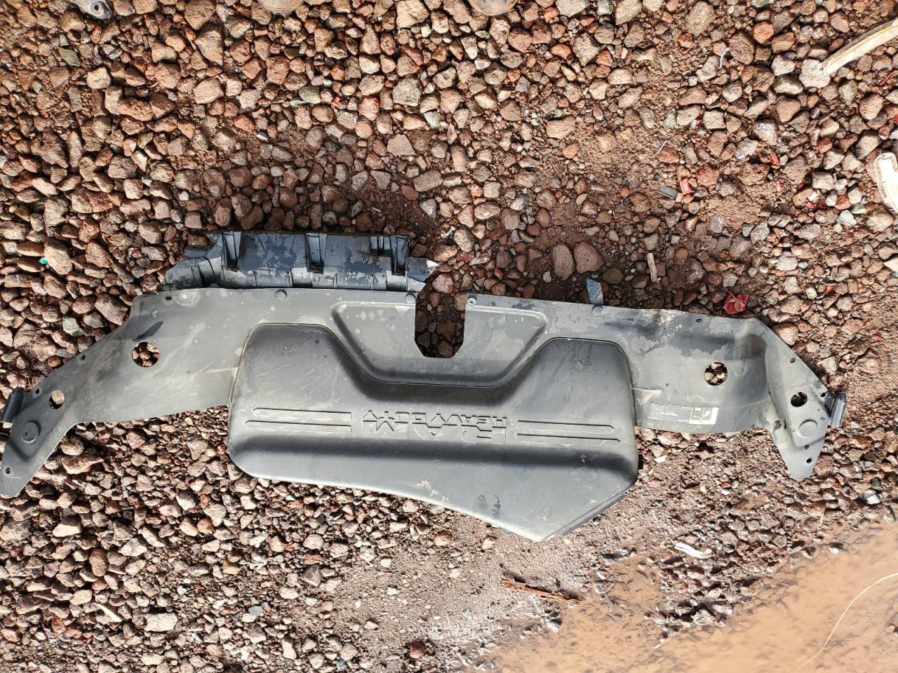 2020 Ram 2500 Powerwagon VIN: 3C6TR5EJ0LG287834 Lot: 92891945