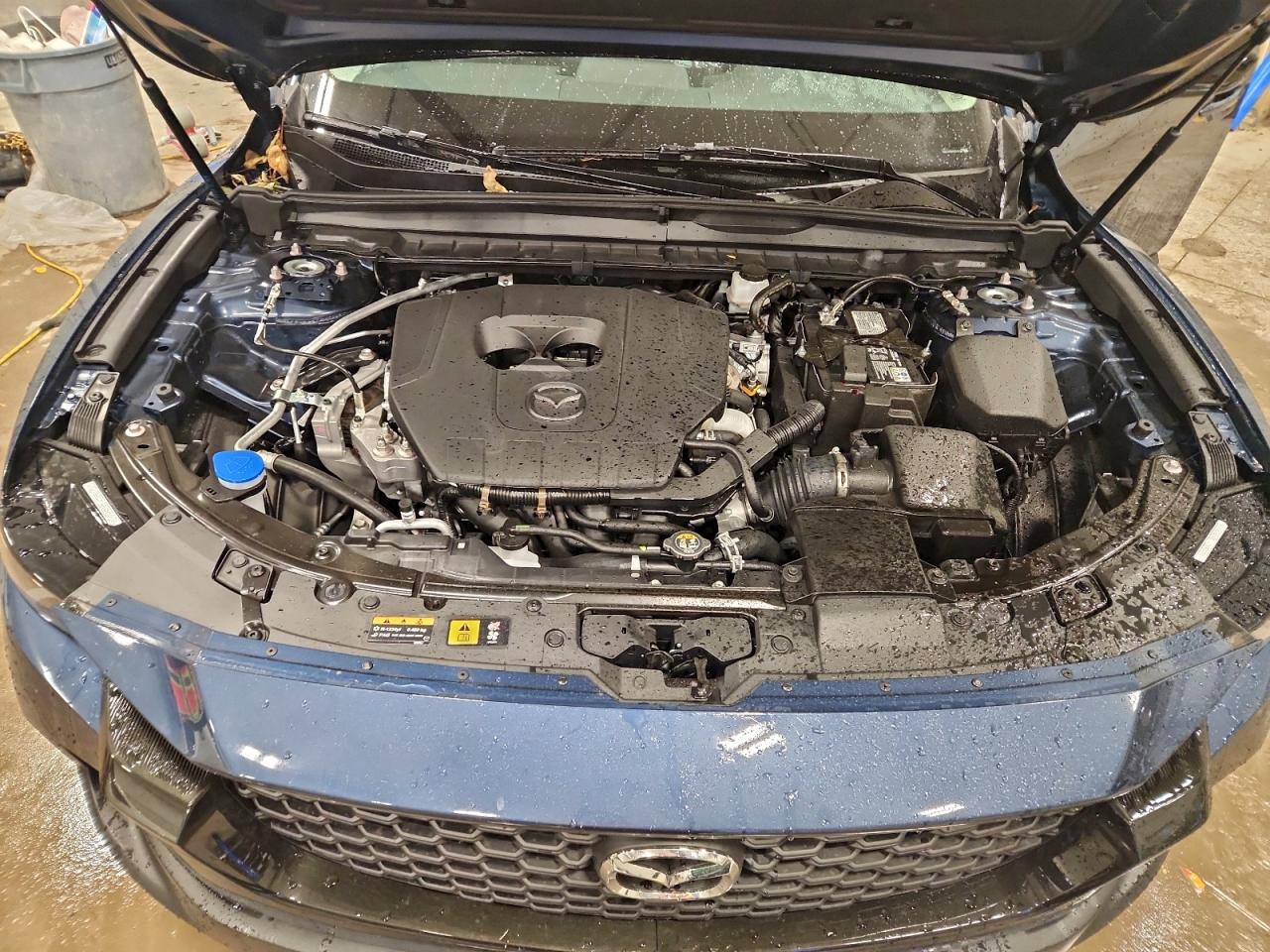 2025 Mazda Cx-50 Premium VIN: 7MMVABDMXSN382460 Lot: 94577235