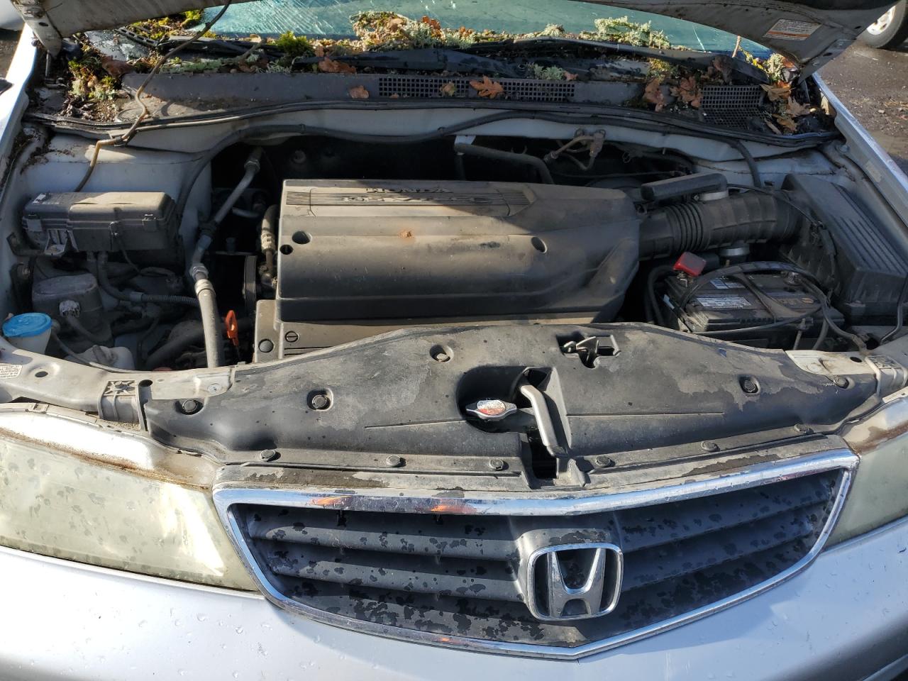 2002 Honda Odyssey Ex VIN: 2HKRL18612H577347 Lot: 90835435