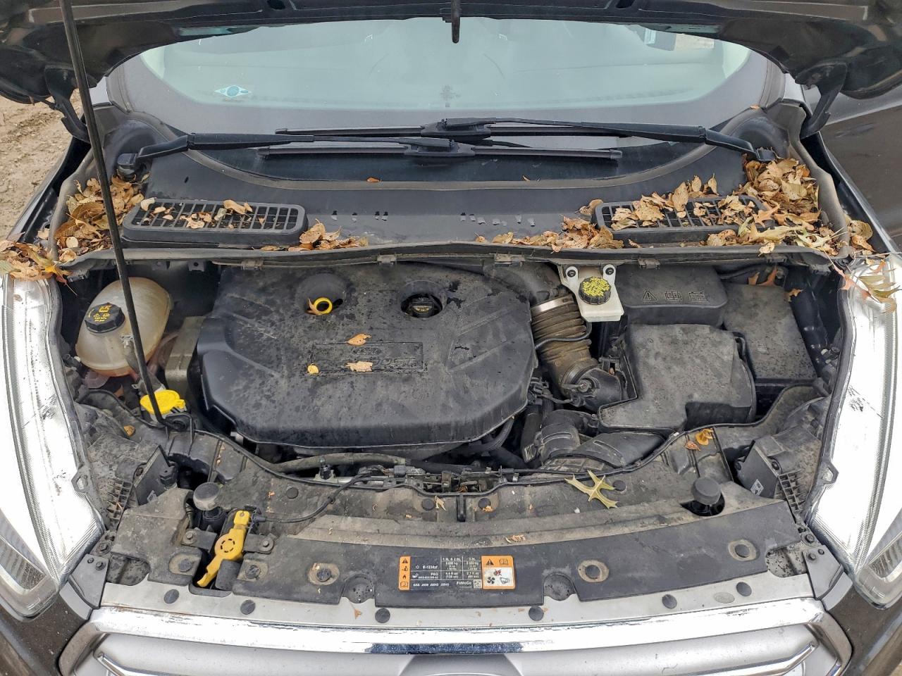 2017 Ford Escape Se VIN: 1FMCU0G91HUF07463 Lot: 94288475