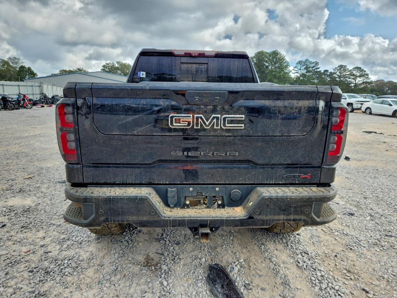 2020 GMC Sierra K1500 At4 VIN: 1GTP9EEL7LZ346387 Lot: 93343435