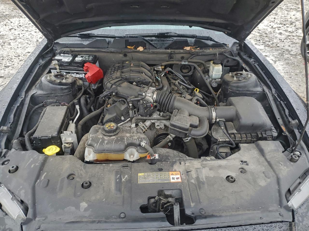 2014 Ford Mustang VIN: 1ZVBP8AM7E5331377 Lot: 93825845