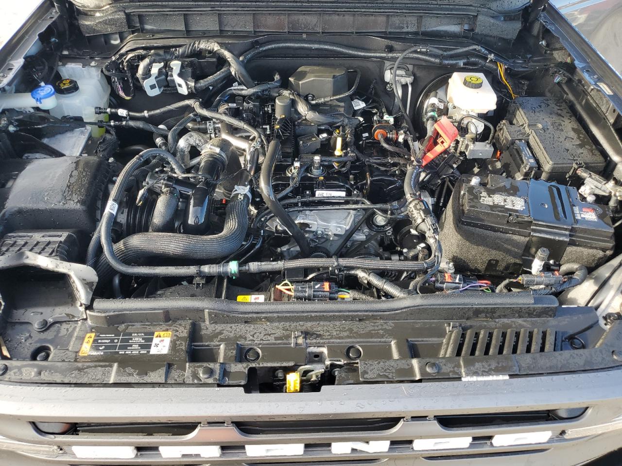 2024 Ford Bronco Big Bend VIN: 1FMDE7BH6RLA69944 Lot: 90622355