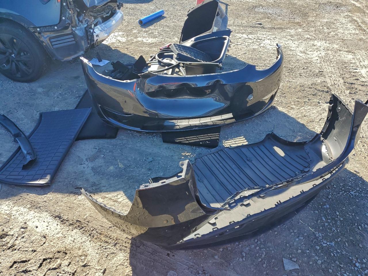 2024 Tesla Model Y VIN: 7SAYGDEE2RF064956 Lot: 94095425