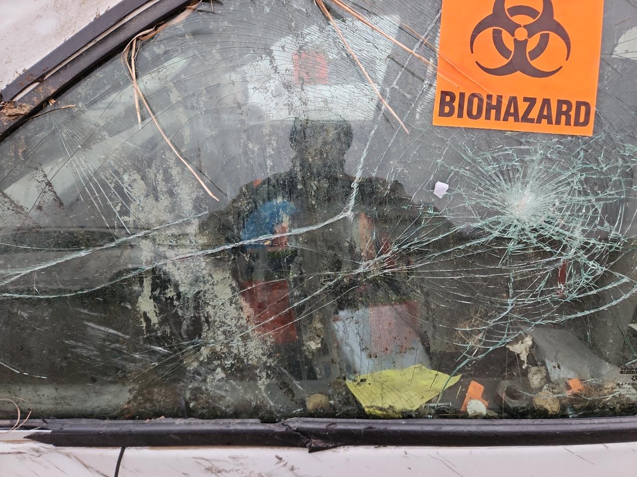 2006 Dodge Ram 1500 St VIN: 1D7HU18N26S602396 Lot: 90833885