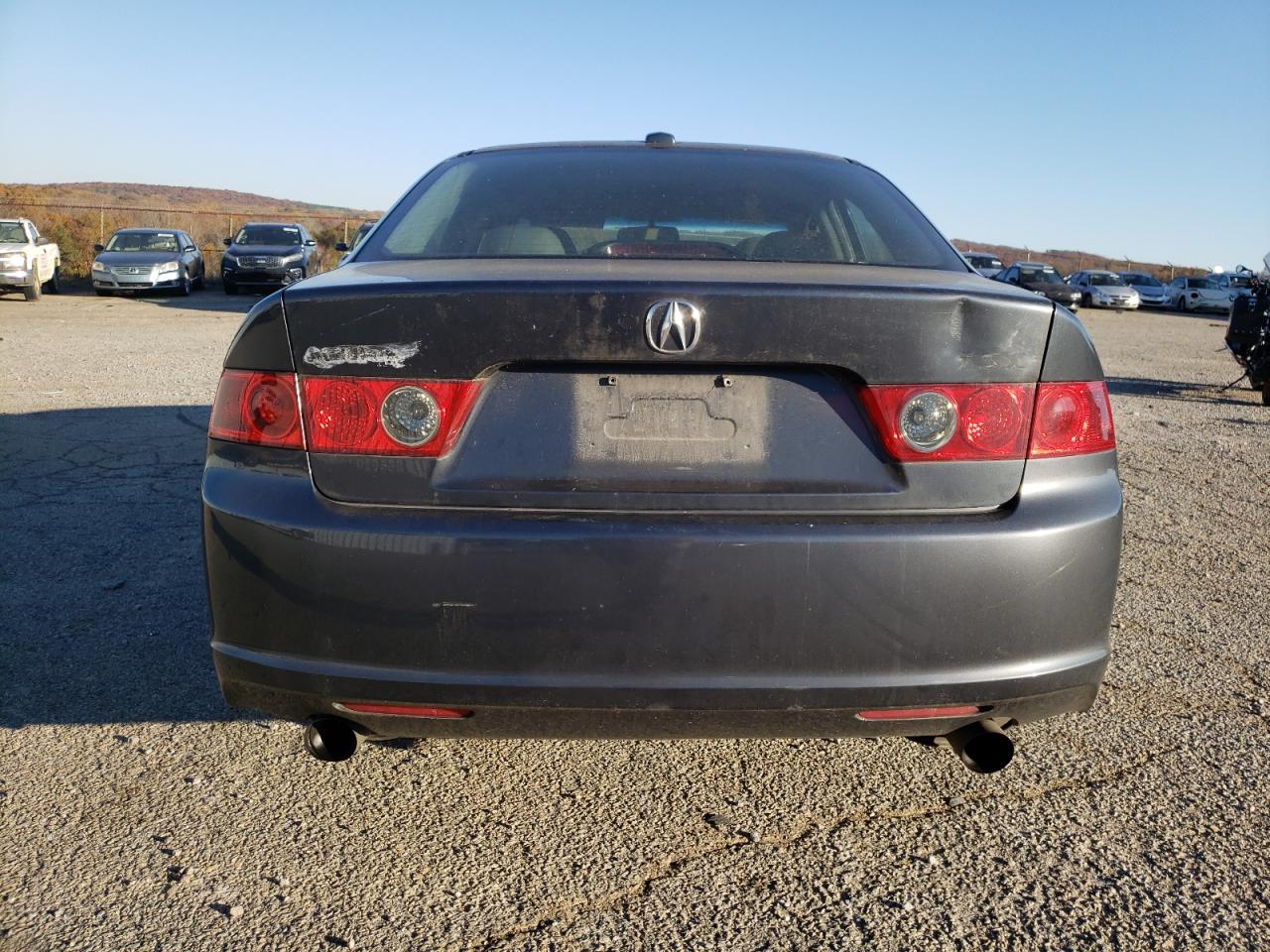 2007 Acura Tsx VIN: JH4CL968X7C010578 Lot: 91837785