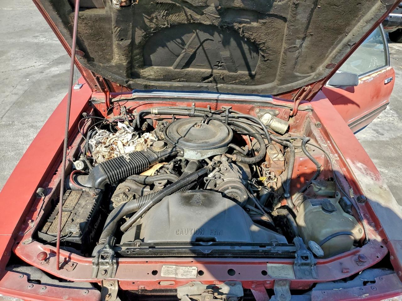 1984 Ford Mustang L VIN: 1FABP283XEF240522 Lot: 93292715