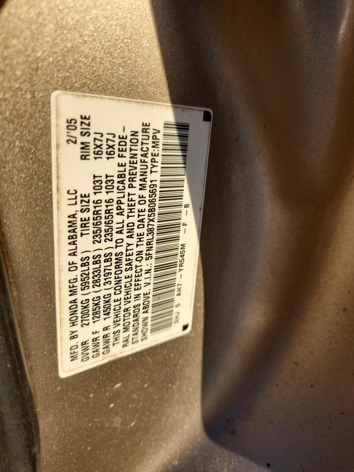 2005 Honda Odyssey Exl VIN: 5FNRL387X5B065691 Lot: 93108505