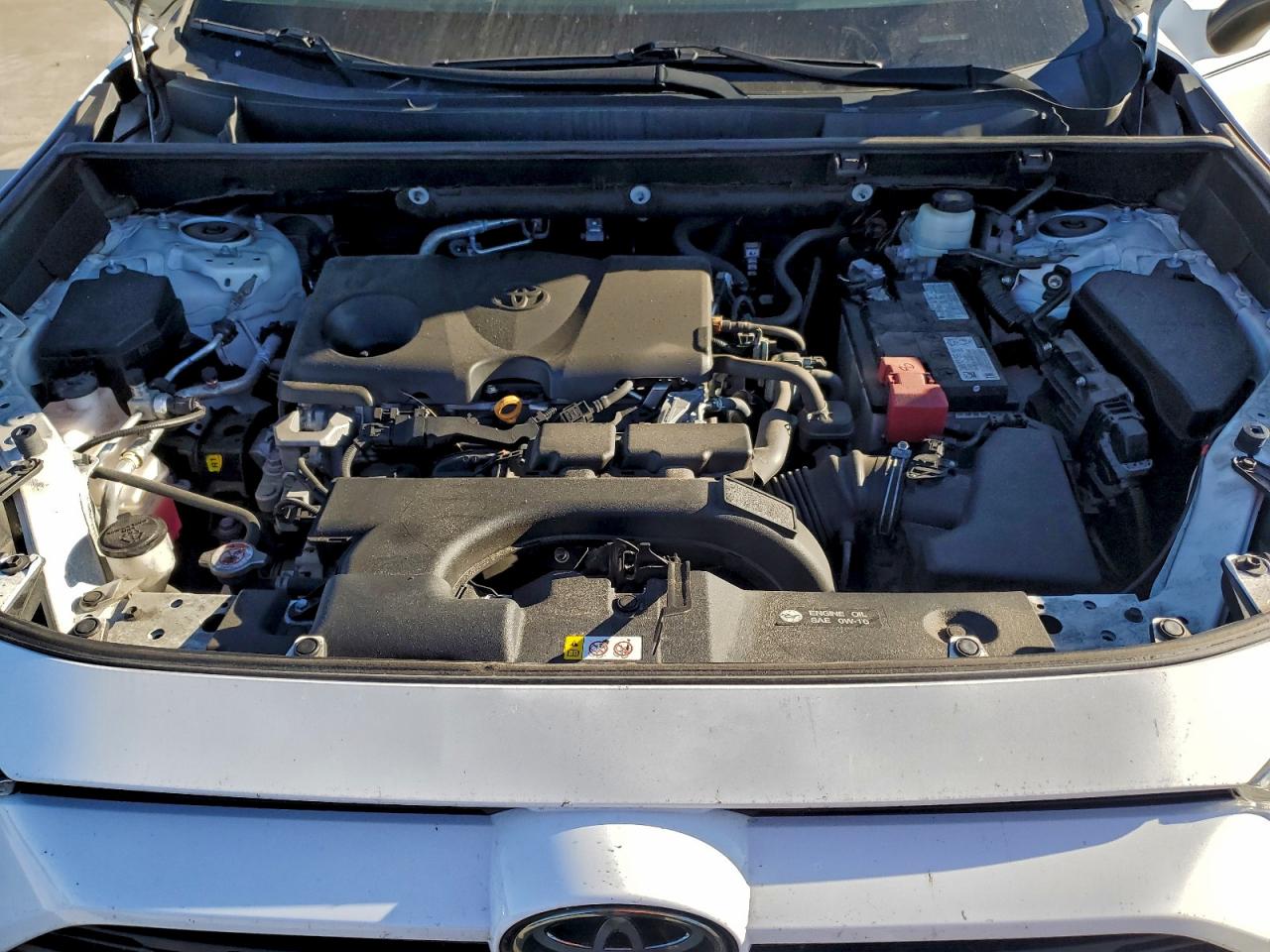 2021 Toyota Rav4 Xle VIN: 2T3W1RFV9MW146087 Lot: 94065655