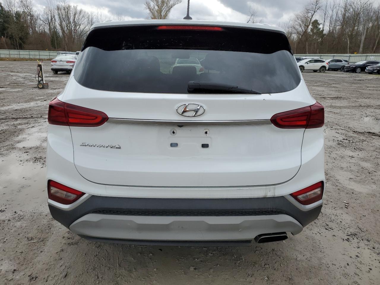2020 Hyundai Santa Fe Se VIN: 5NMS23AD2LH147110 Lot: 92696285