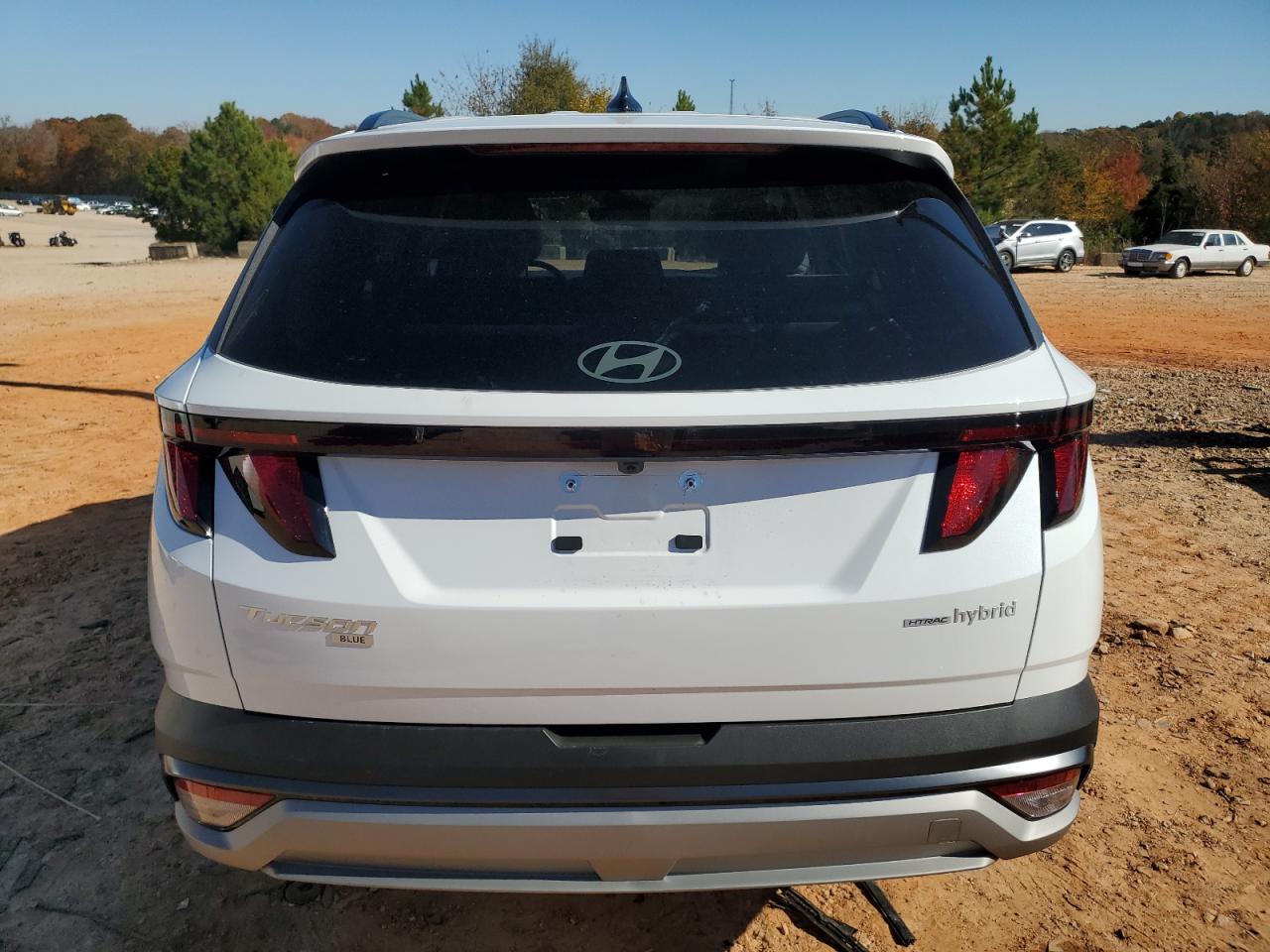 2025 Hyundai Tucson Blue VIN: KM8JBDD14SU345872 Lot: 91117605