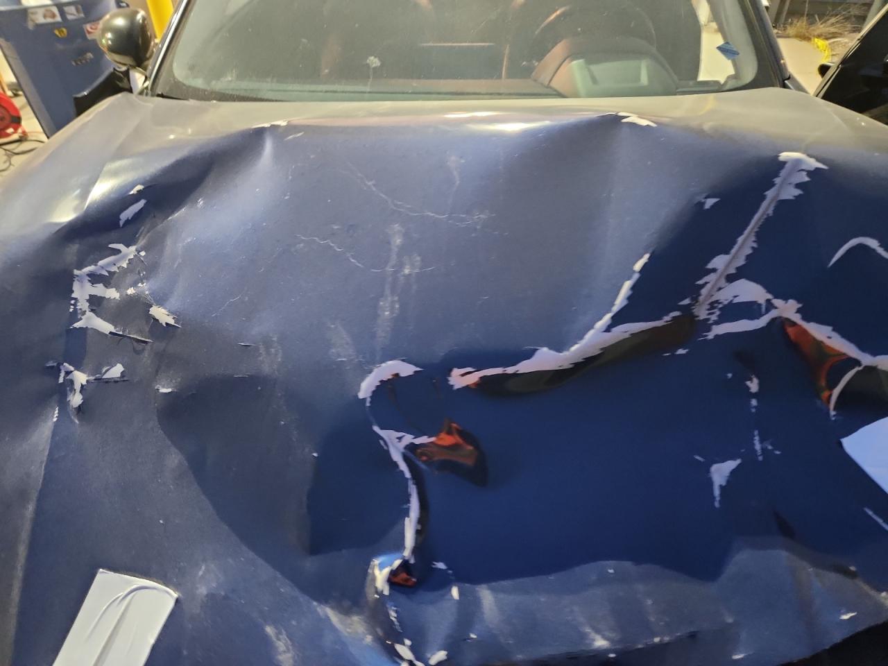 2019 Nissan Altima Sr VIN: 1N4BL4CV9KC128498 Lot: 93298225