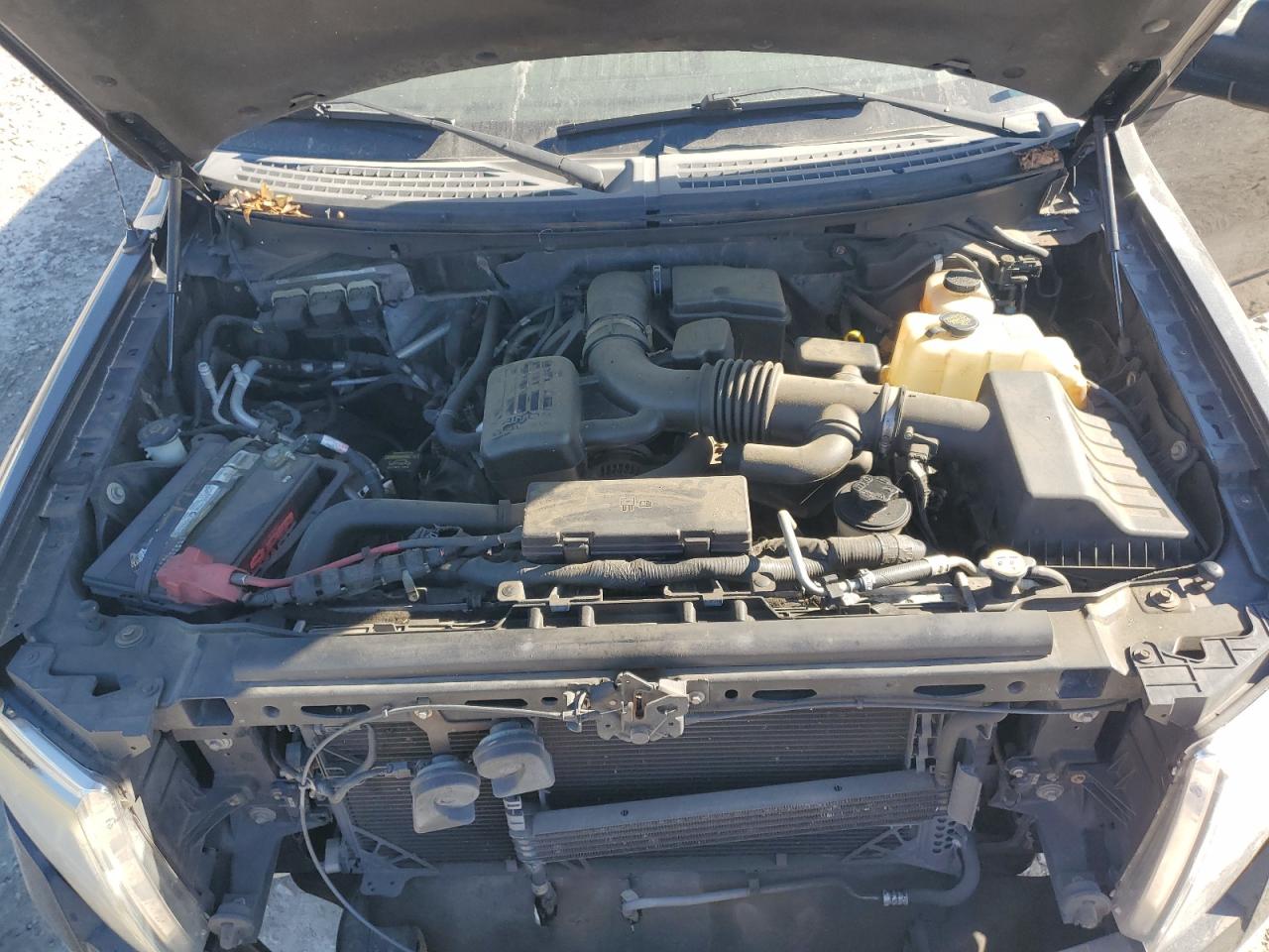 2010 Ford F150 Supercrew VIN: 1FTFW1EV9AFD60370 Lot: 92611585