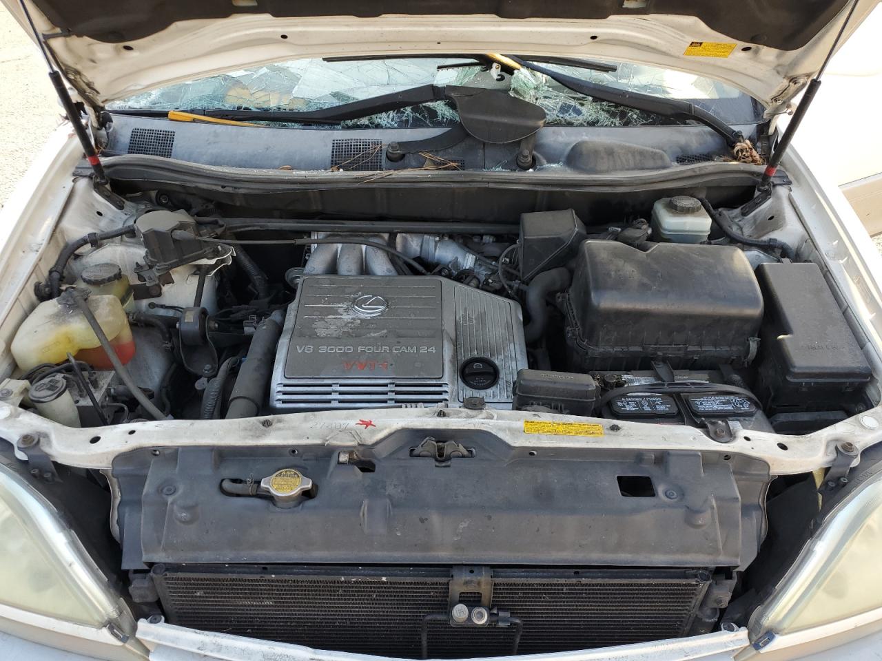 2002 Lexus Rx 300 VIN: JTJGF10U320139481 Lot: 91367355