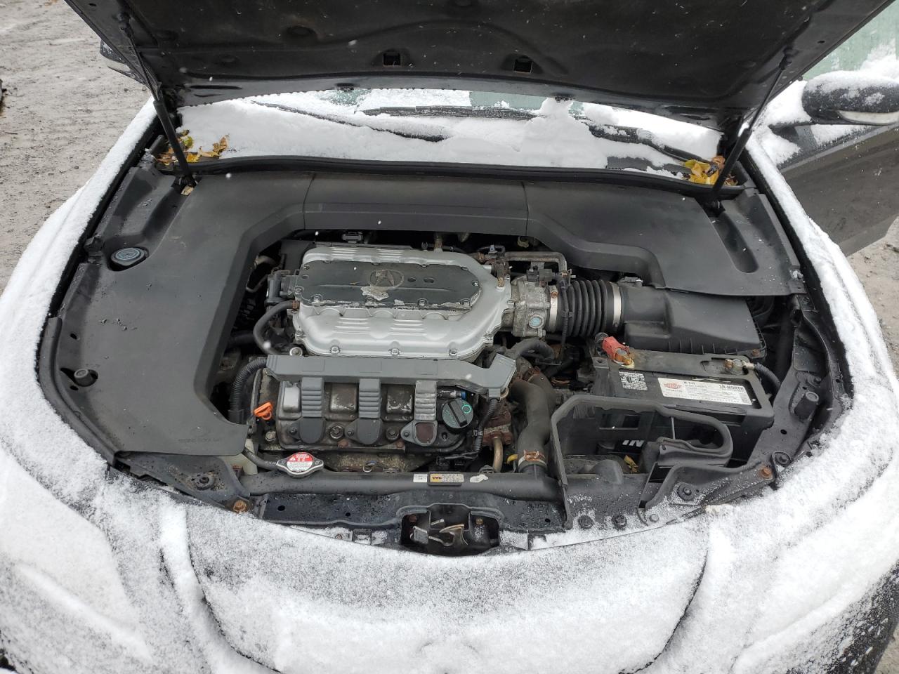 2010 Acura Tl VIN: 19UUA9F55AA001390 Lot: 91668465