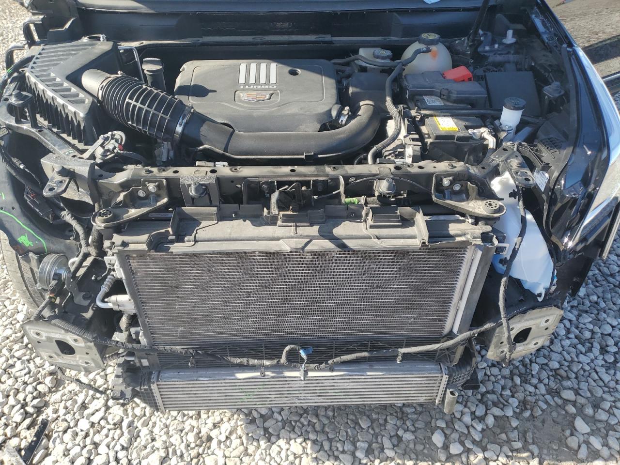 2023 Cadillac Xt5 Premium Luxury VIN: 1GYKNDR48PZ153197 Lot: 92637605