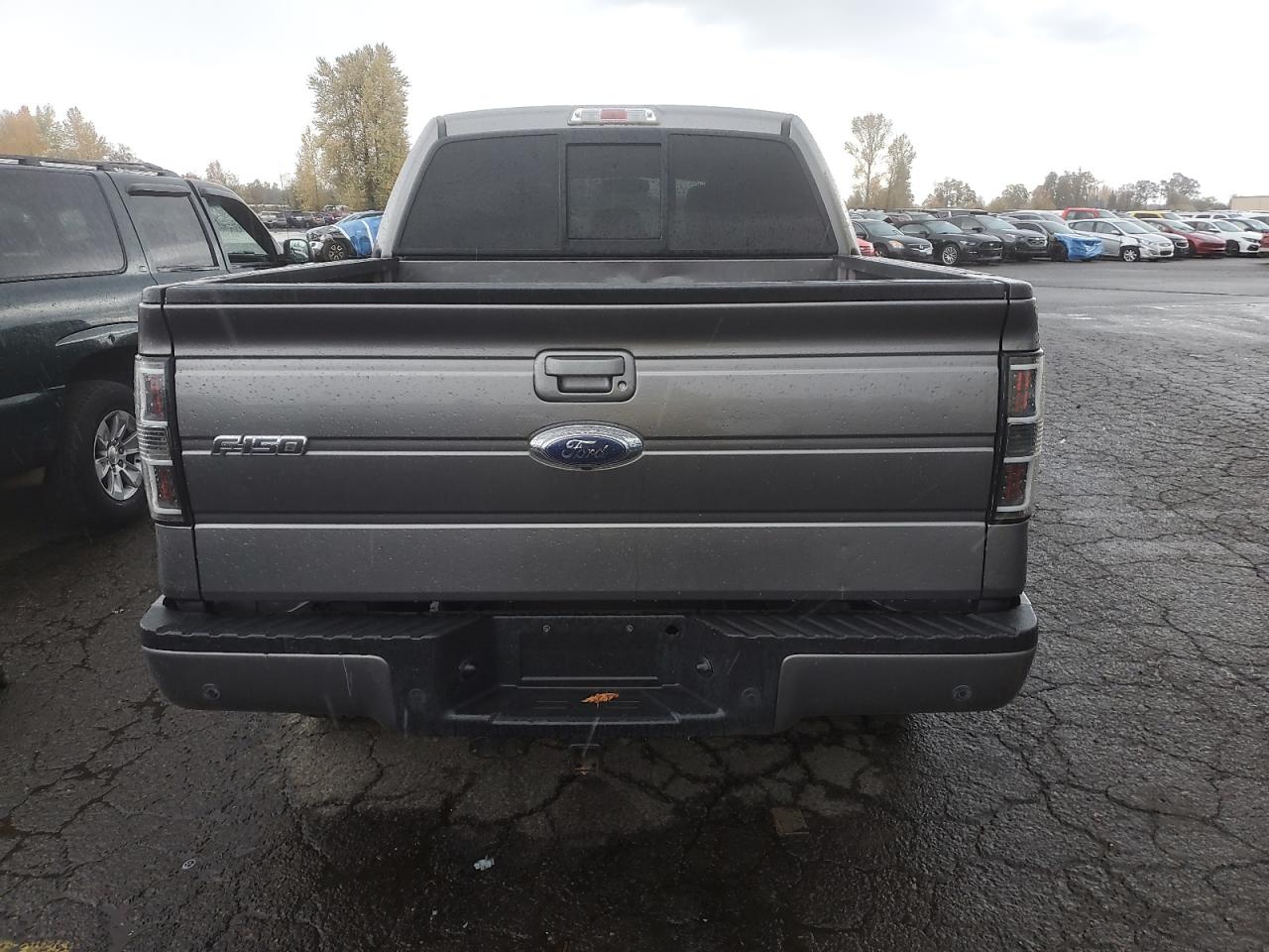 2013 Ford F150 Supercrew VIN: 1FTFW1ET1DFB68007 Lot: 90737875