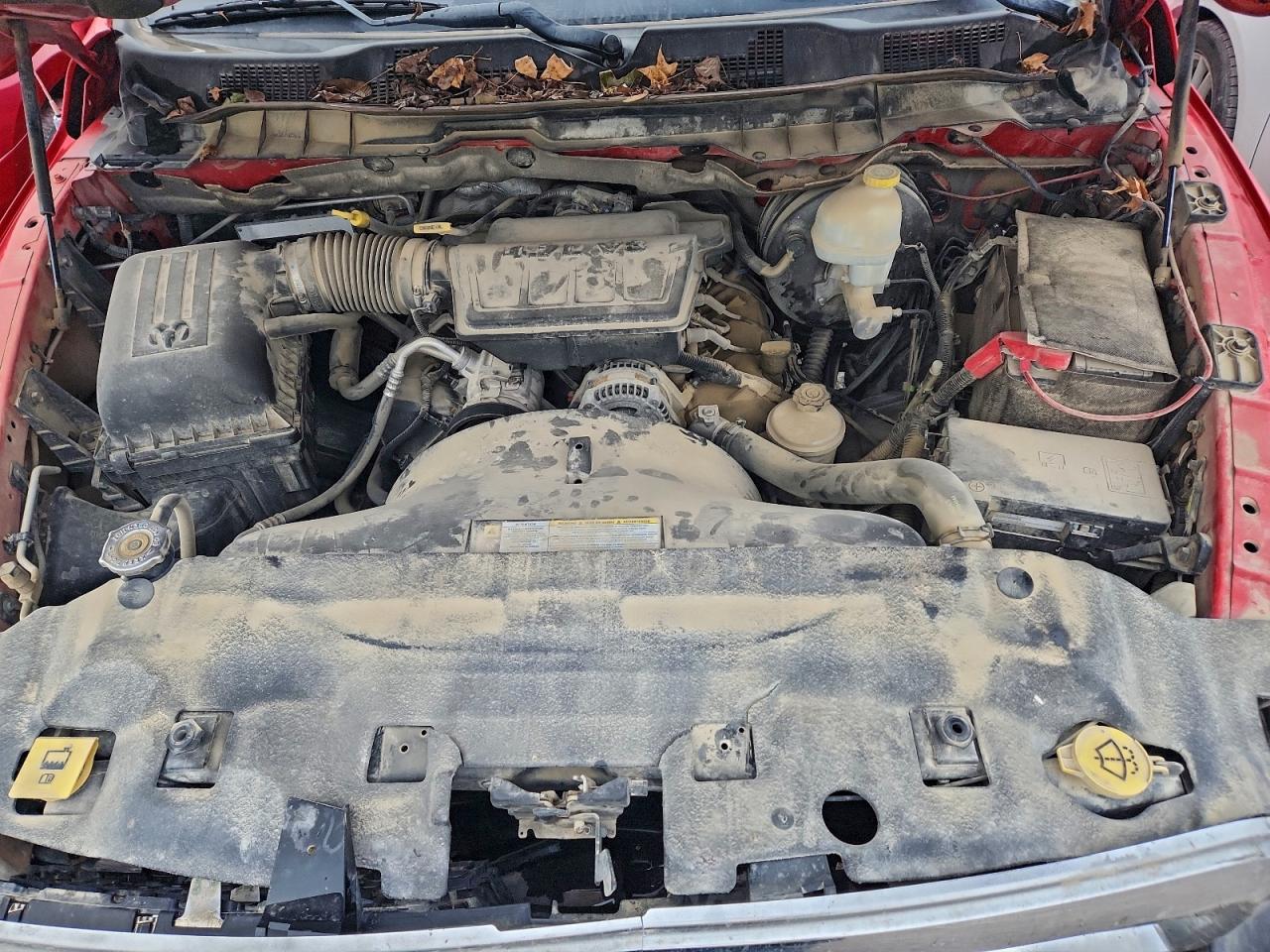 2009 Dodge Ram 1500 VIN: 1D3HV13P89J504880 Lot: 93402435