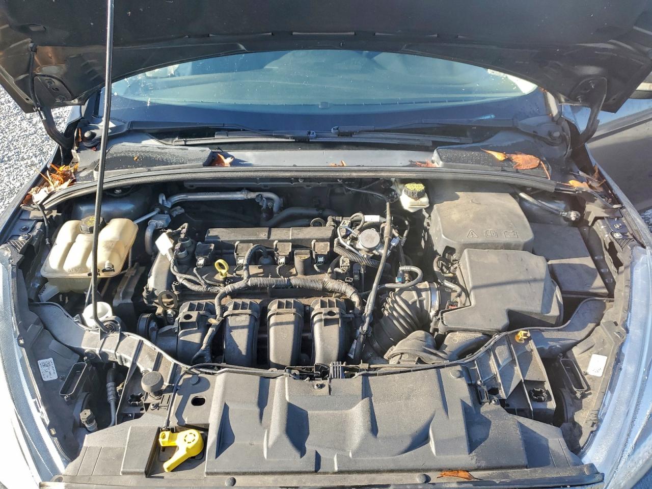 2017 Ford Focus Se VIN: 1FADP3K21HL278922 Lot: 94471225