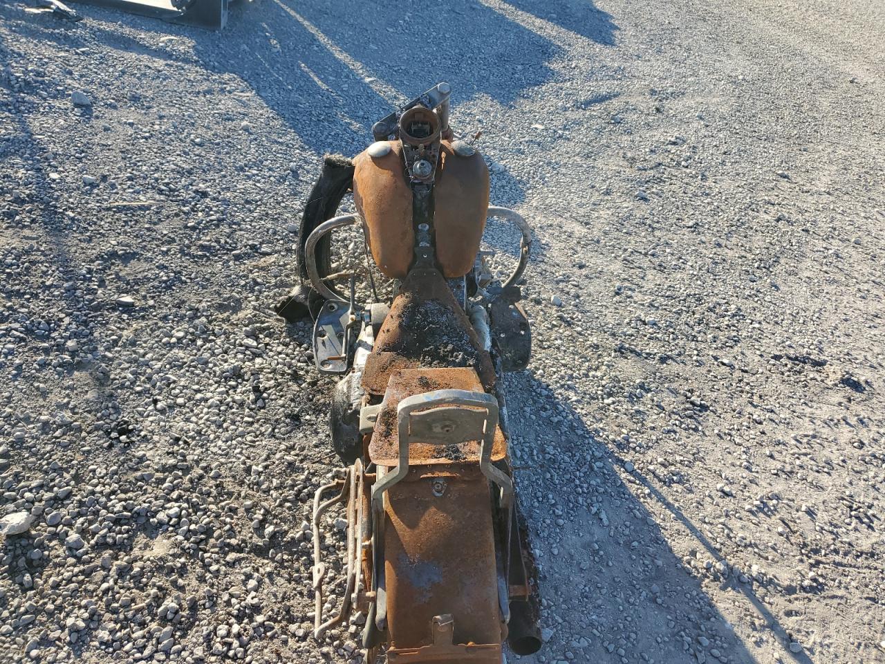 1991 Harley-Davidson Flstc VIN: 1HD1BJL46MY011903 Lot: 92685475