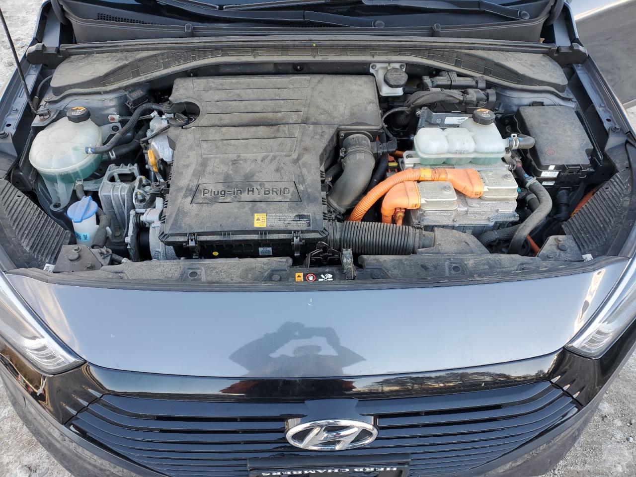 2019 Hyundai Ioniq VIN: KMHC65LD7KU181676 Lot: 92540325