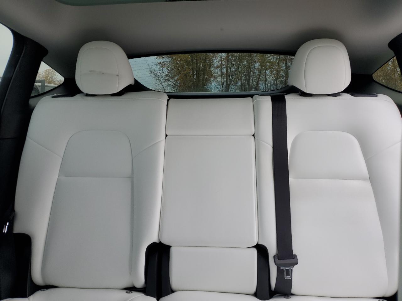 2022 Tesla Model Y VIN: 7SAYGAEE9NF487333 Lot: 90731985