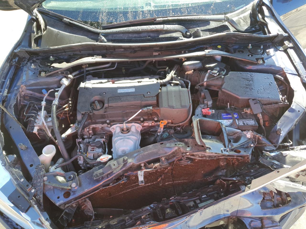 2017 Honda Accord Sport VIN: 1HGCR2F51HA028463 Lot: 91084575