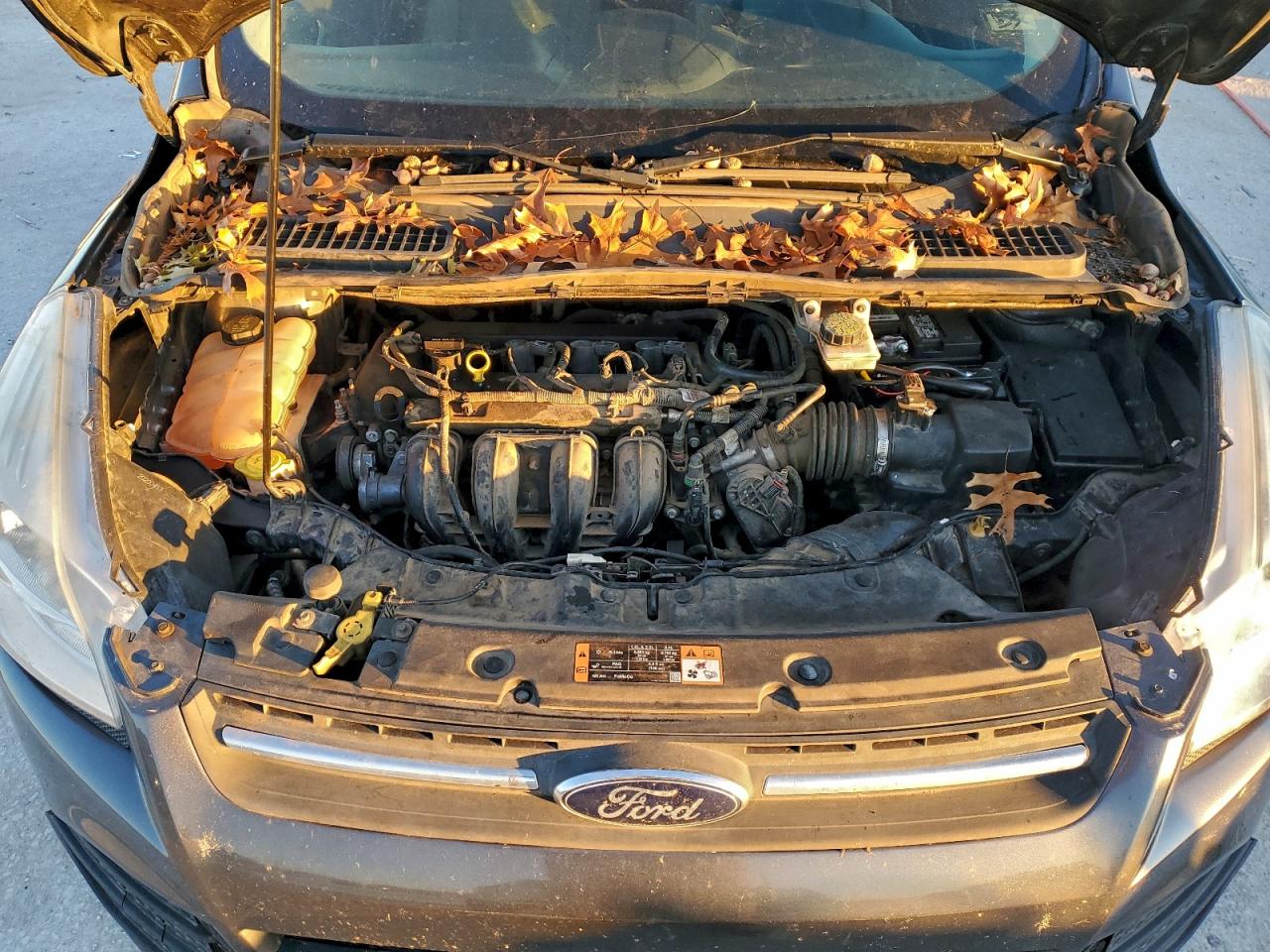 2015 Ford Escape Se VIN: 1FMCU0G76FUA90854 Lot: 93091185