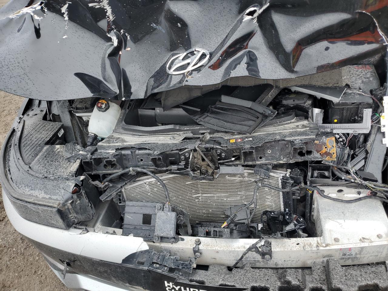 2024 Hyundai Ioniq 5 Sel VIN: KM8KNDDF5RU328757 Lot: 91365135