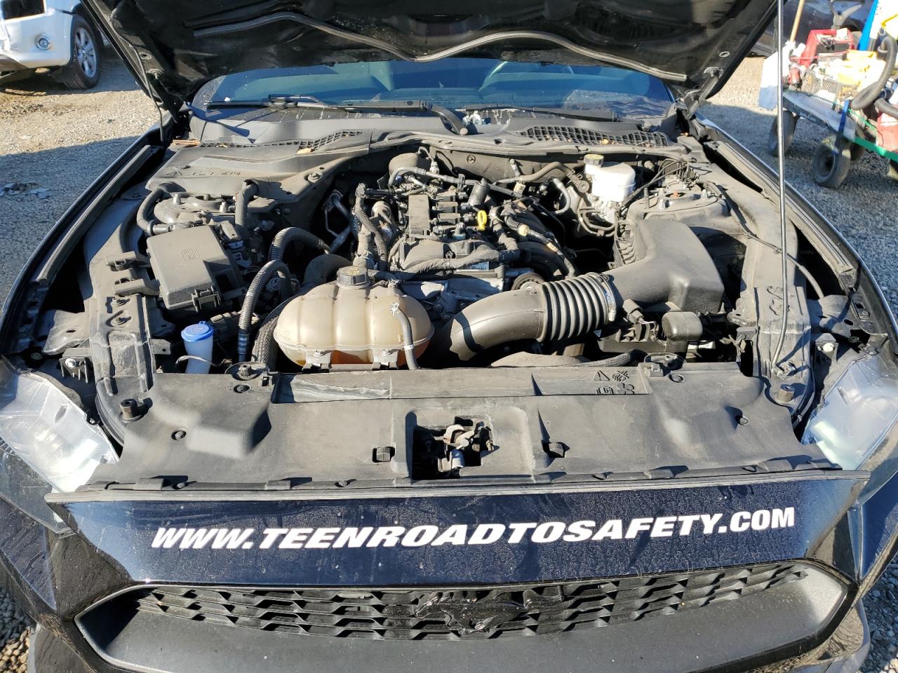 2021 Ford Mustang VIN: 1FA6P8TH8M5149356 Lot: 90107415