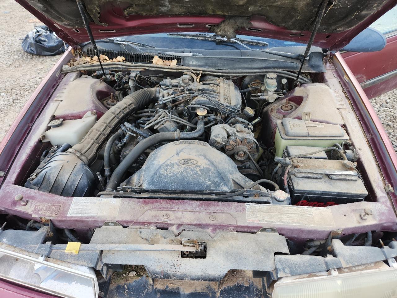 1989 Mercury Cougar Ls VIN: 1MEPM6048KH664316 Lot: 93260035