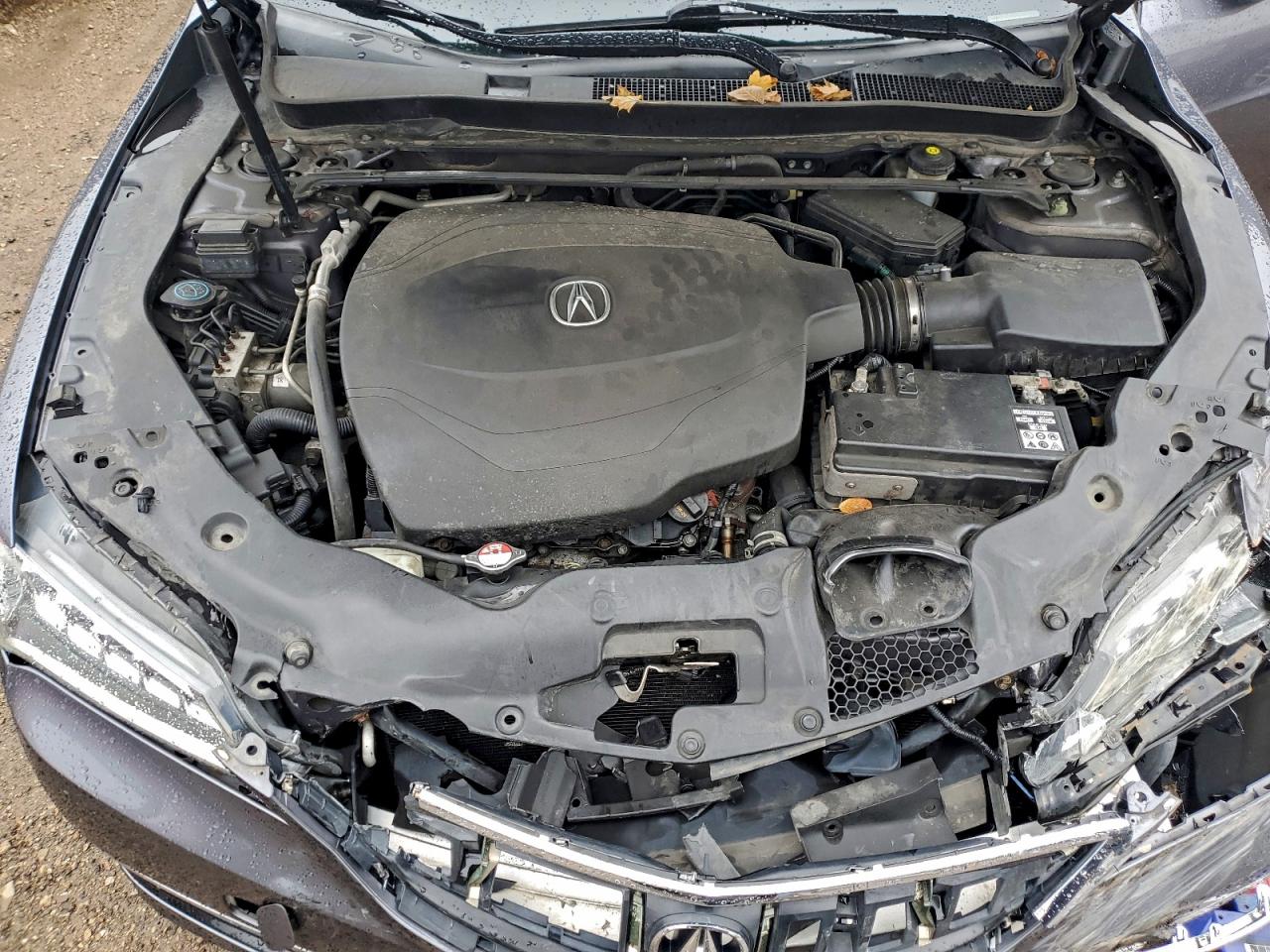 2017 Acura Tlx Tech VIN: 19UUB2F59HA006140 Lot: 94109605