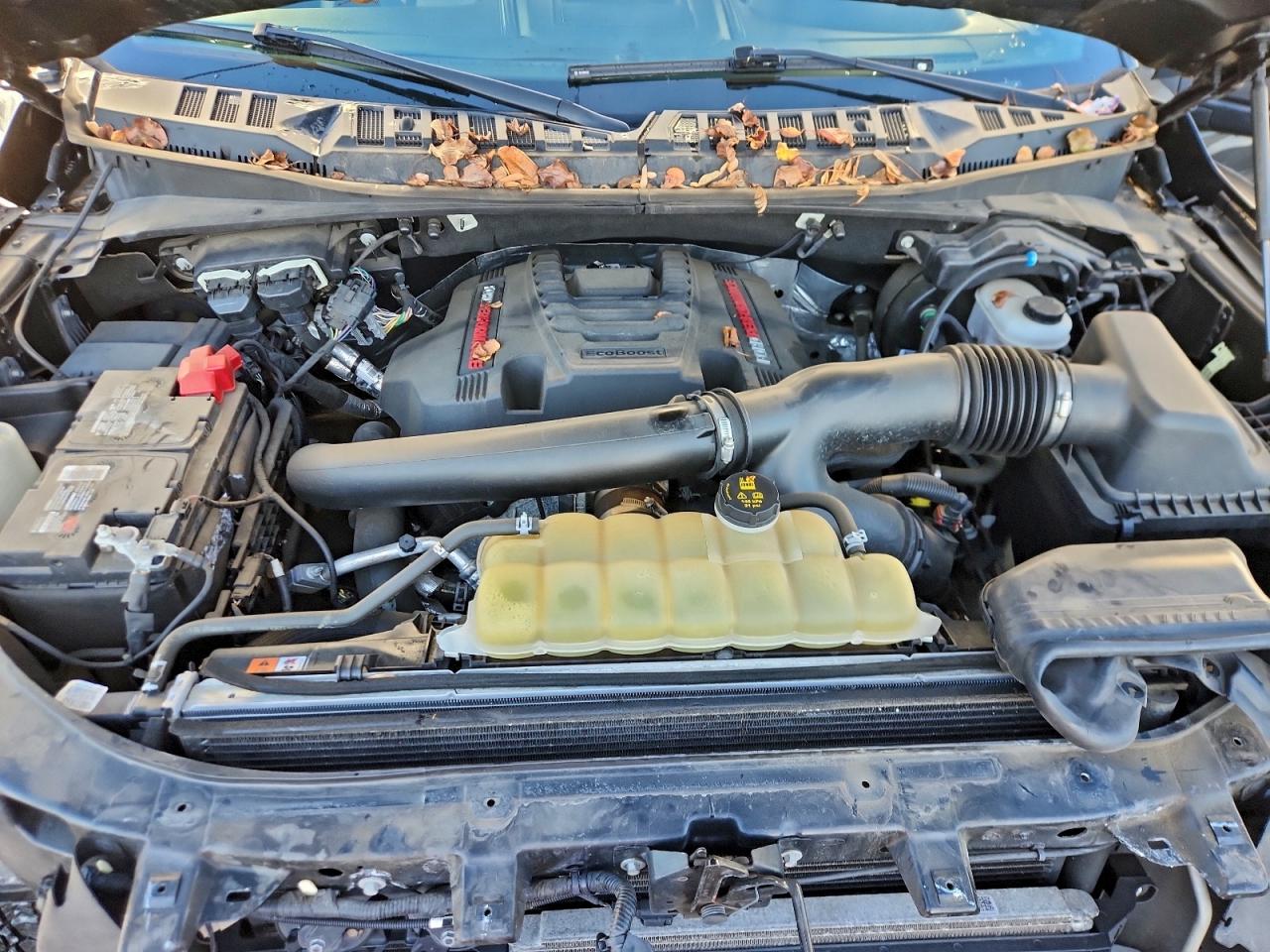 2019 Ford F150 Raptor VIN: 1FTFW1RG2KFC00117 Lot: 94260055