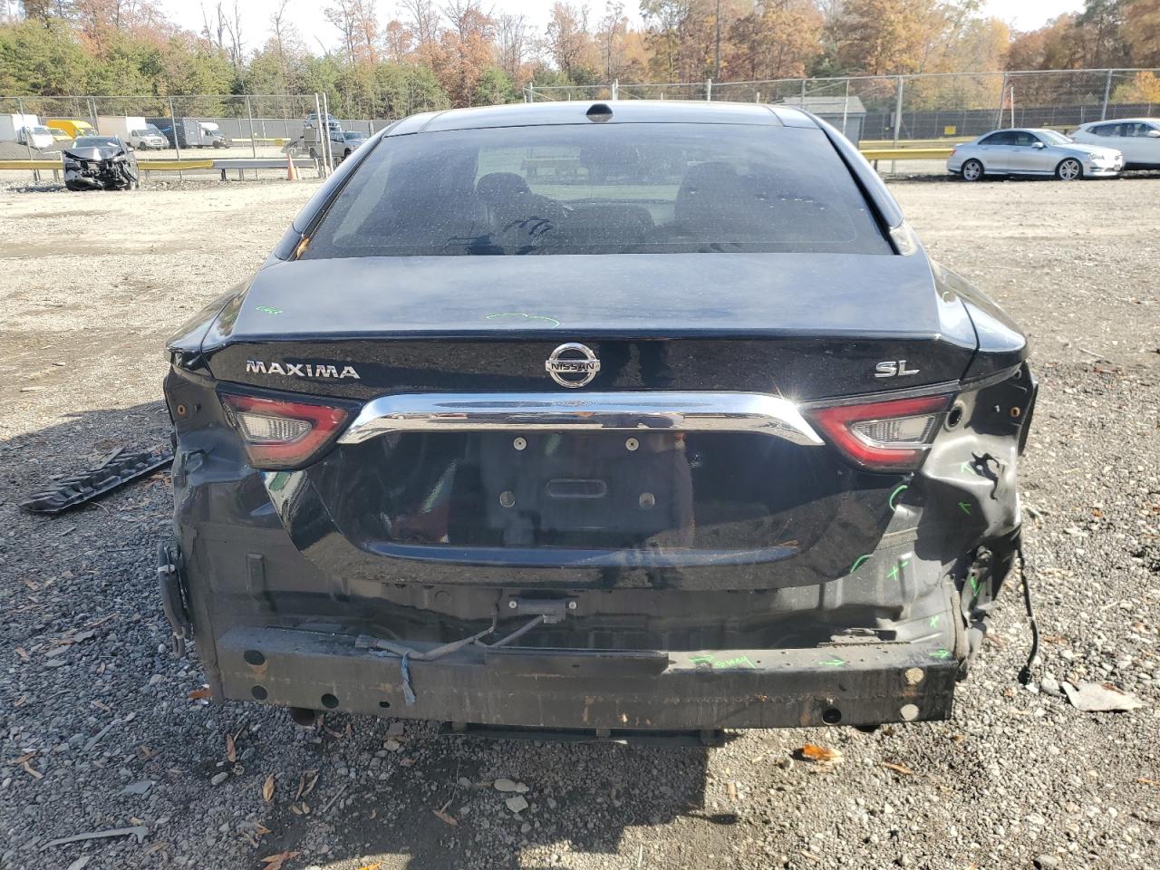 2020 Nissan Maxima Sl VIN: 1N4AA6DVXLC368124 Lot: 91268065