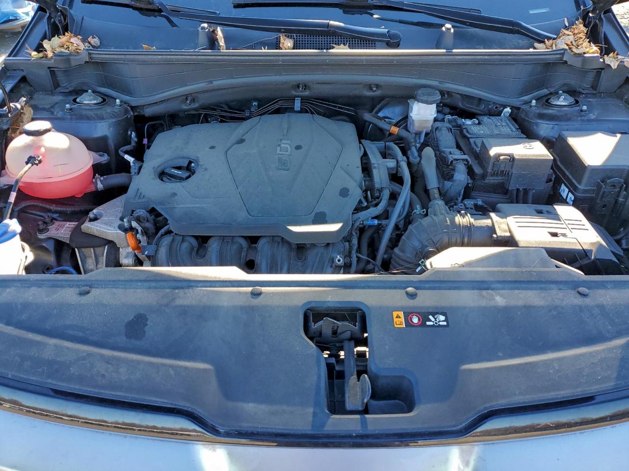 2023 Kia Sportage Ex VIN: 5XYK33AFXPG129856 Lot: 92677925